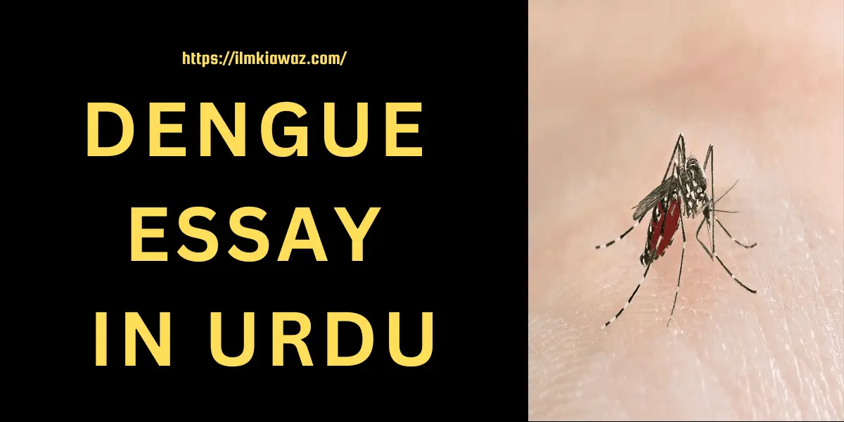 essay on dengue in Urdu on Education