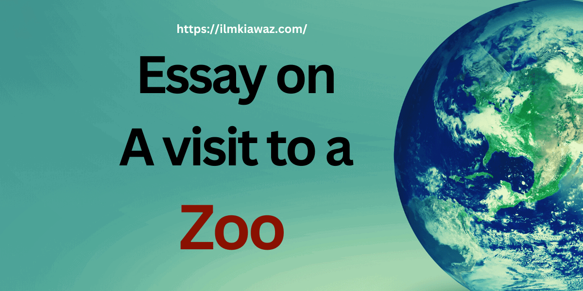 essay on the visit of zoo